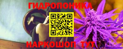 ГАЛЛЮЦИНОГЕННЫЕ ГРИБЫ Северобайкальск