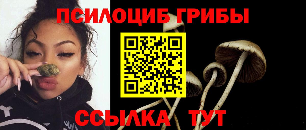 хочу наркоту  Галлюциногенные грибы GOLDEN TEACHER  Галлюциногенные грибы GOLDEN TEACHER  Вход с VPN  Сокол 