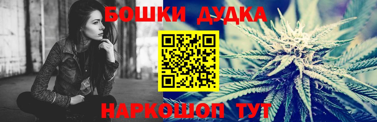 Бошки Шишки планчик Сокол